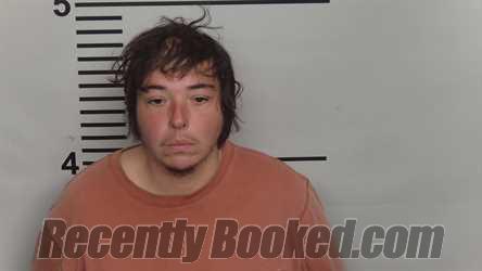 Recent Mugshot Image for ANNE OWEN in Jefferson County, Kentucky