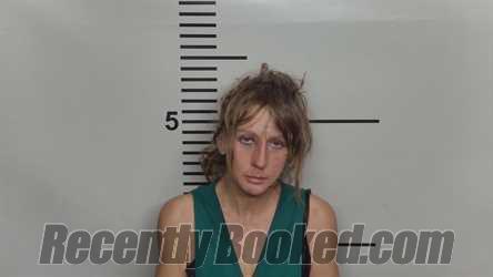 Recent Mugshot Image for LINDSEY COLTER in Jefferson County, Kentucky
