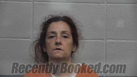 Recent Mugshot Image for JOYCE ANN HENSLEY in Jessamine County, Kentucky