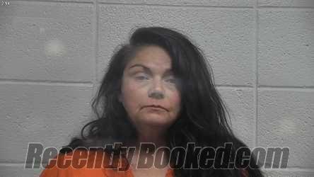 Recent Mugshot Image for SHEANA KING in Jessamine County, Kentucky
