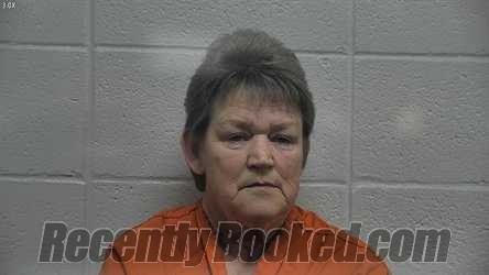 Recent Mugshot Image for WANDA MCCLURE in Jessamine County, Kentucky
