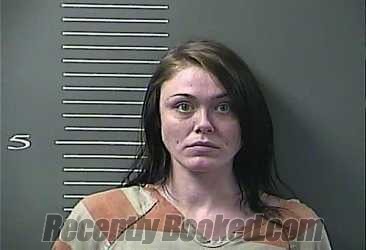 Recent Mugshot Image for DANIELLE Marylyn MILLER-DYER in Johnson County, Kentucky