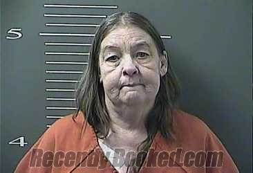 Recent Mugshot Image for RITA FAYE NAPIER in Johnson County, Kentucky
