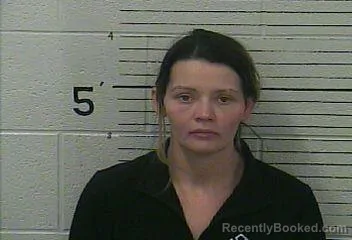 Recent Mugshot Image for SHELLY DELORA BRAMER in Knox County, Kentucky