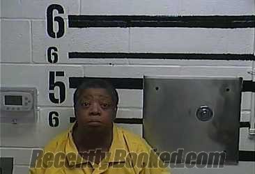Recent Mugshot Image for CONSTANCE FAYE RAMIREZ in LaRue County, Kentucky