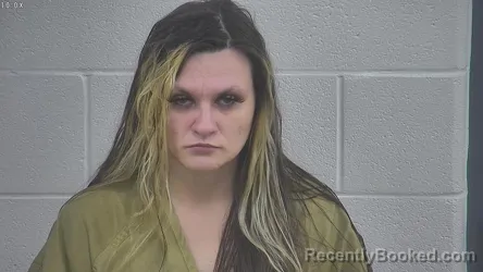 Recent Mugshot Image for LACEY SALVA in Laurel County, Kentucky