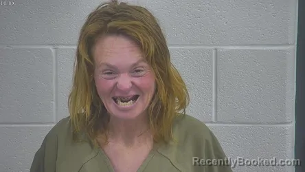 Recent Mugshot Image for MARY ELIZABETH BOYCE in Laurel County, Kentucky