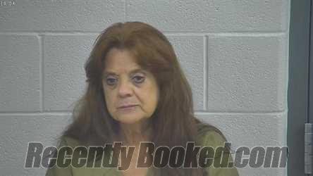 Recent Mugshot Image for ROSA REEVES in Laurel County, Kentucky
