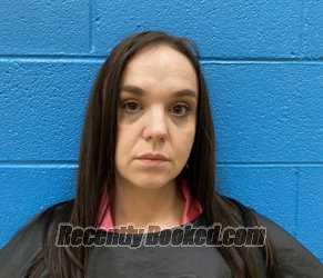 Recent Mugshot Image for JAMIE DENISE RIDDLE in McDowell County, North Carolina