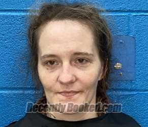 Recent Mugshot Image for LEAIRA ANN JOHNSON in McDowell County, North Carolina