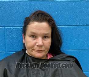Recent Mugshot Image for BRITTANY CAROL OLLIS in McDowell County, North Carolina