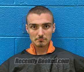 Recent Booking / Mugshot for TAYLOR COLE GARLAND in McDowell County
