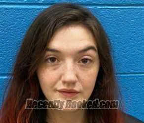 Recent Booking / Mugshot for TAYLOR MARIE HENSLEY in McDowell County
