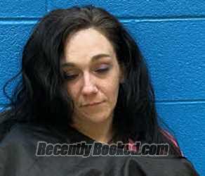 Recent Mugshot Image for SHELBY DANIELLE ROBINSON in McDowell County, North Carolina