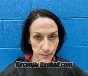 Recent Mugshot Image for AMBER MICHELLE REEL in McDowell County, North Carolina