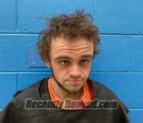 Recent Mugshot Image for JOHNNY WAYNE MARTIN in McDowell County, North Carolina