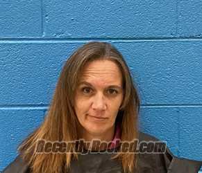 Recent Mugshot Image for NICHOLE FAYE BRADLEY in McDowell County, North Carolina