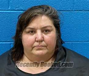 Recent Booking / Mugshot for JANET MARIE TAYLOR in McDowell County