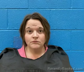 Recent Mugshot Image for NIKKI LEIGH BRIGGS in McDowell County, North Carolina