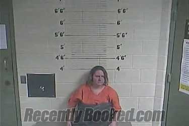 Recent Mugshot Image for Jennifer L Birchfield in Lee County, Kentucky