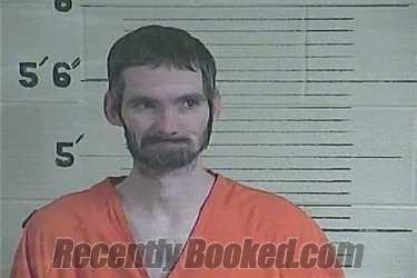Recent Mugshot Image for David McGlynn in Lee County, Kentucky