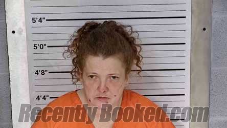 Recent Mugshot Image for AMANDA BUNDY in Leslie County, Kentucky