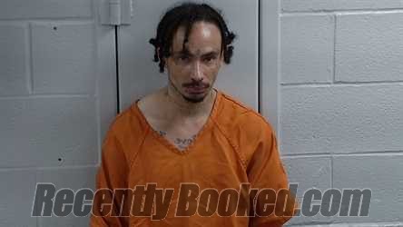 Recent Mugshot Image for SHAWN FEINSTEIN in Logan County, Kentucky