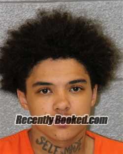 Recent Booking / Mugshot for ANTHONY THOMAS DOWDELL in Mecklenburg