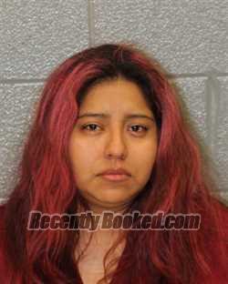Recent Booking / Mugshot for KARINA DELACRUZ-DELACRUZ in Mecklenburg