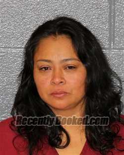 Recent Booking / Mugshot for MALANIA RAMIREZ in Mecklenburg County