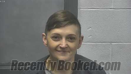 Recent Mugshot Image for BRENDA LOIS BRYANT in Meade County, Kentucky