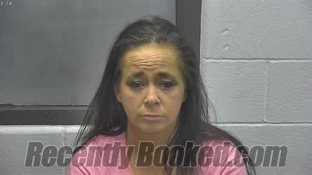 Recent Booking / Mugshot for TASHA NICOLE VINCENT in Meade County, Kentucky