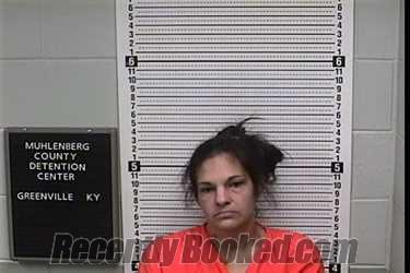 Recent Mugshot Image for JESSIE MARIE GOODWIN in Muhlenberg County, Kentucky