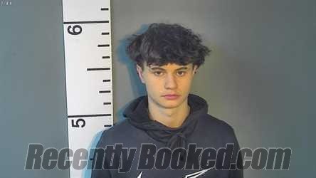 Recent Mugshot Image for ANTONIO RAPAEL TAVAREZ in Nelson County, Kentucky