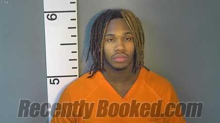 Recent Mugshot Image for DETRELL LAMAR JOHNSON in Nelson County, Kentucky