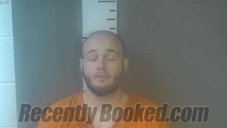 Recent Mugshot Image for ULYSSES ELIJAH COLLETT in Nelson County, Kentucky