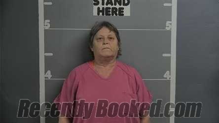 Recent Mugshot Image for RHONDA FAY BURDEN in Ohio County, Kentucky