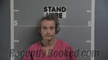 Recent Mugshot Image for TINA BRADFIELD in Ohio County, Kentucky