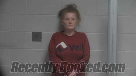 Recent Mugshot Image for GLENDA JOYCE HOLCOMB in Oldham County, Kentucky