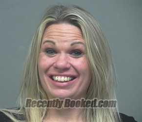 Recent Mugshot Image for MEGAN TONER in Perry County, Kentucky