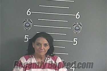 Recent Mugshot Image for ANGELA A NEWMAN in Pike County, Kentucky