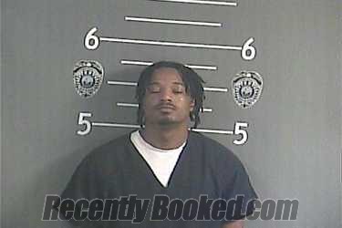 Recent Mugshot Image for CAHLYL - ROLLINS in Pike County, Kentucky