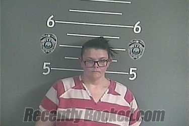 Recent Mugshot Image for MELISSA D JOHNSON in Pike County, Kentucky