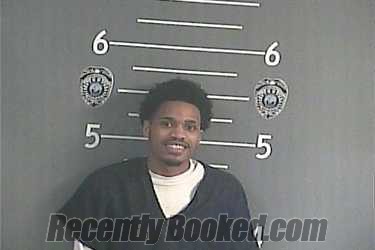 Recent Mugshot Image for TERRY - GIBSON in Pike County, Kentucky