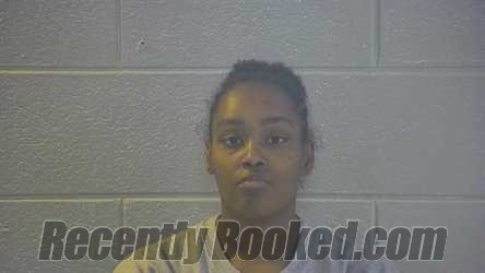 Recent Mugshot Image for JANEE E. CROWLEY in Pulaski County, Kentucky