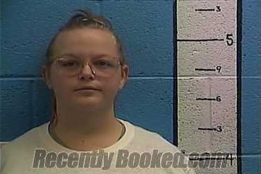 Recent Mugshot Image for GILLIAN VINCENT in Rockcastle County, Kentucky