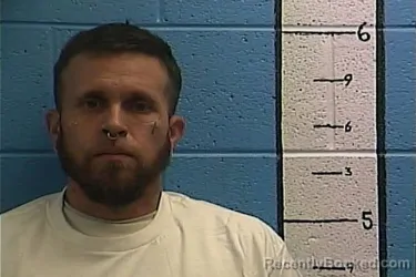 Recent Mugshot Image for ROBERT L LEAR in Rockcastle County, Kentucky