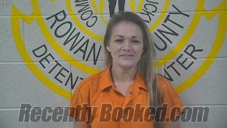 Recent Mugshot Image for PEARL ANN LOGAN in Rowan County, Kentucky