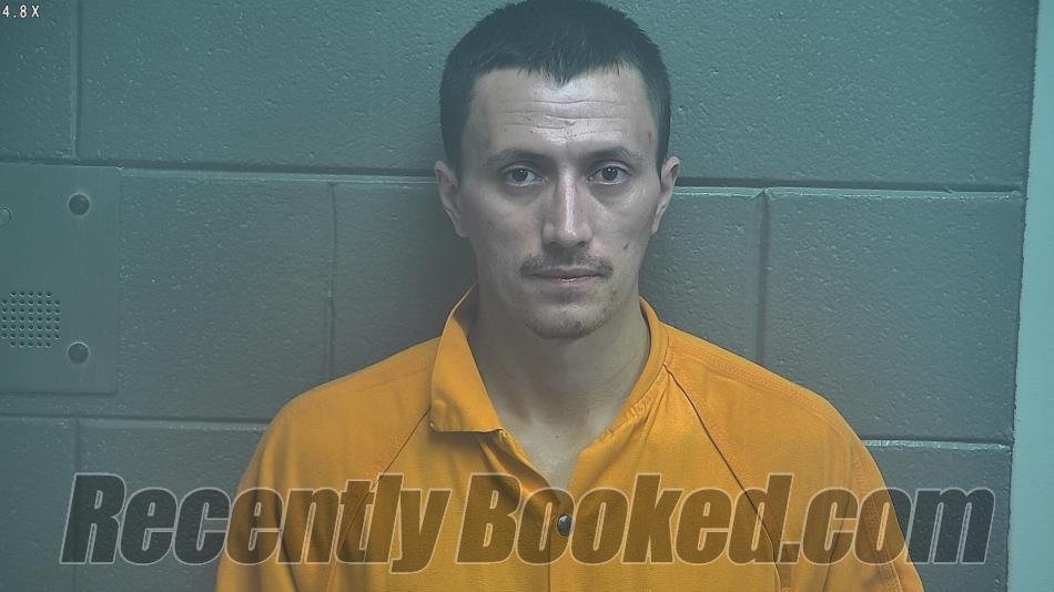 Recent Mugshot Image for ANDREW ALLEN LAY in Scott County, Kentucky