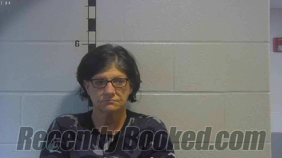 Recent Mugshot Image for HEATHER RENEE LONG in Shelby County, Kentucky